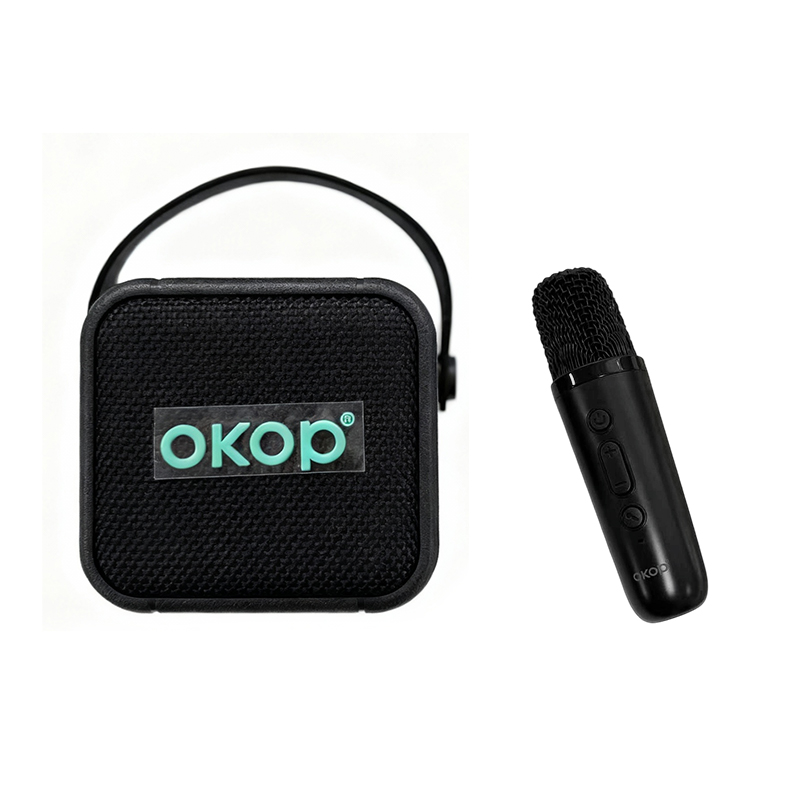 1200mah Portable  Kids Mini Karaoke Machine Karaoke Speaker - Black