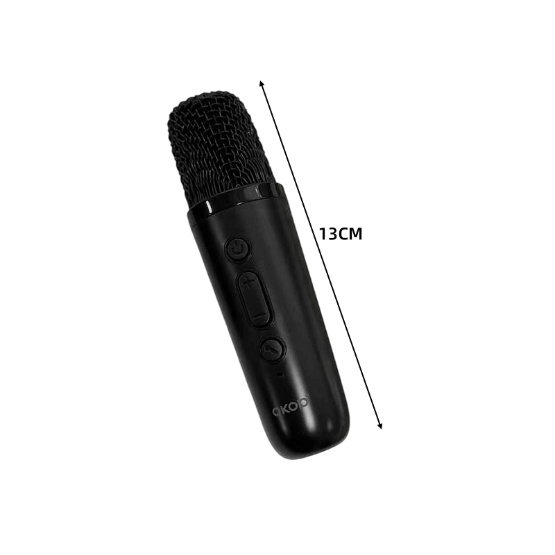 1200mah Portable  Kids Mini Karaoke Machine Karaoke Speaker - White