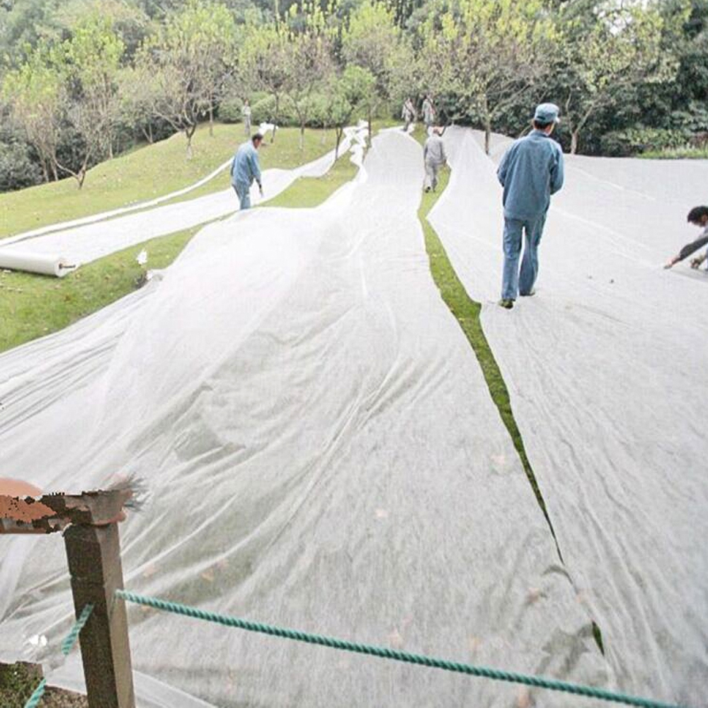 2x10m 30gsm Wide Garden Cold Frost Wind Fleece for Winter Plant Protection