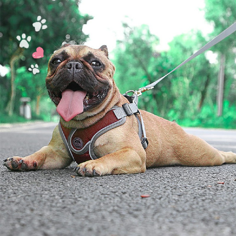 Adjustable and Breathable Dog Pet Harness Vest Padded Safety Puppy Leash Set - Red L