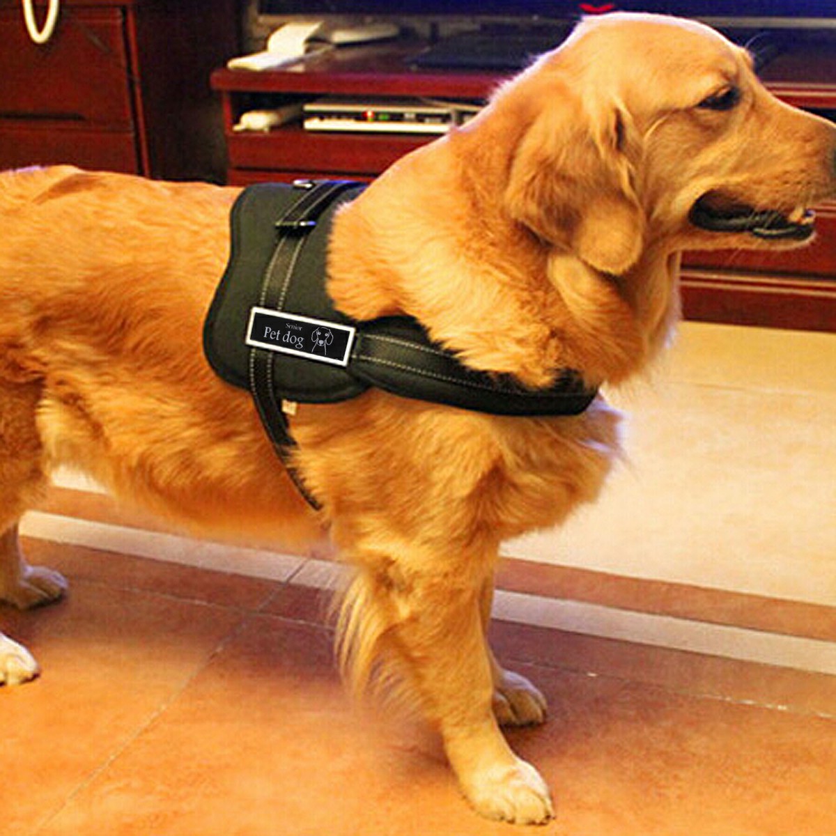 Dog Adjustable Control Soft Vest Harness Walk Collar Chest Strap Vest - Black M