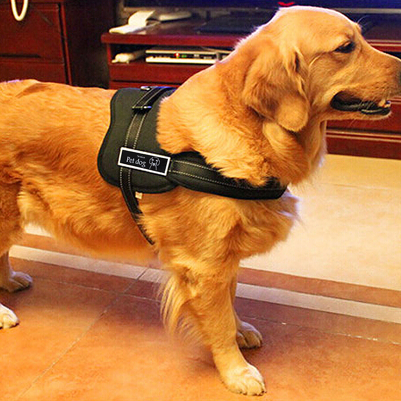 Dog Adjustable Control Soft Vest Harness Walk Collar Chest Strap Vest - Black S