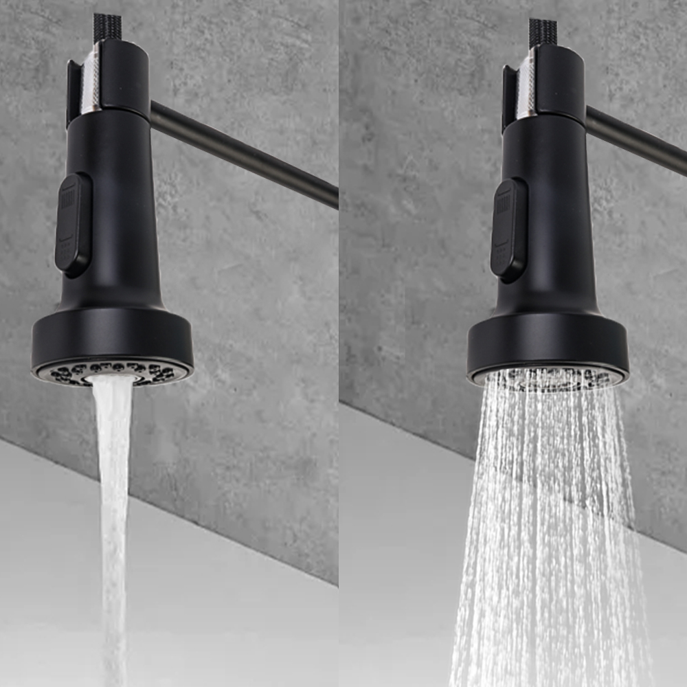 Monobloc Kitchen Sink Mixer Tap with Pull Out Hose Sprayer Single Lever - Black