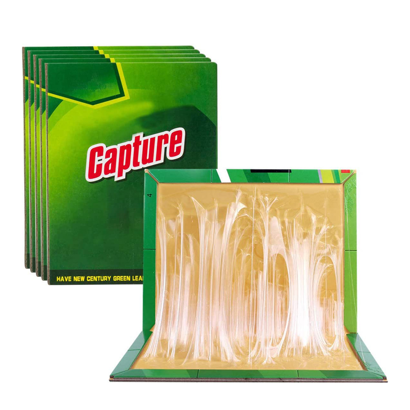 Multi-Use Pest Insects Sticky Board Efficient Glue Boards for Home Office and Garden