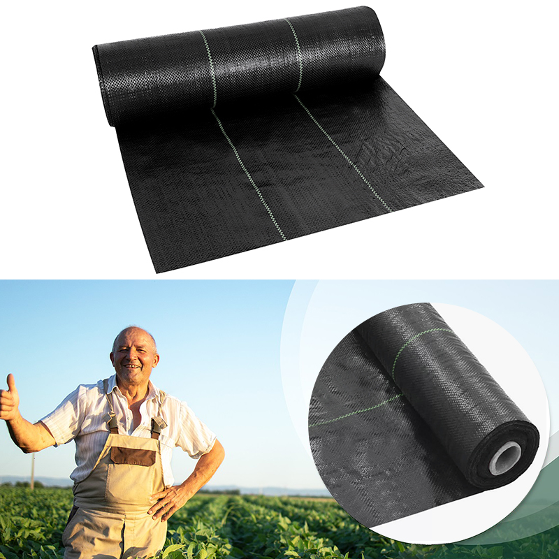 Weed Control Fabric Membrane Heavy Duty 100GSM - 10m x 2m
