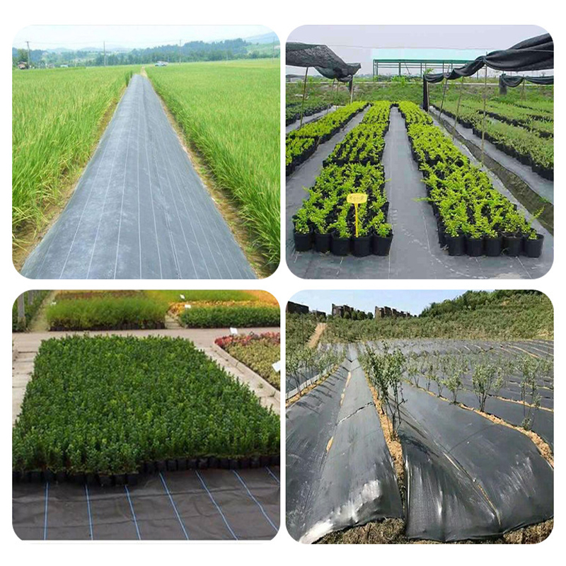 Weed Control Fabric Membrane Heavy Duty 100GSM - 10m x 2m