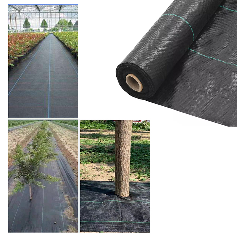 Weed Control Fabric Membrane Heavy Duty 100GSM - 10m x 2m